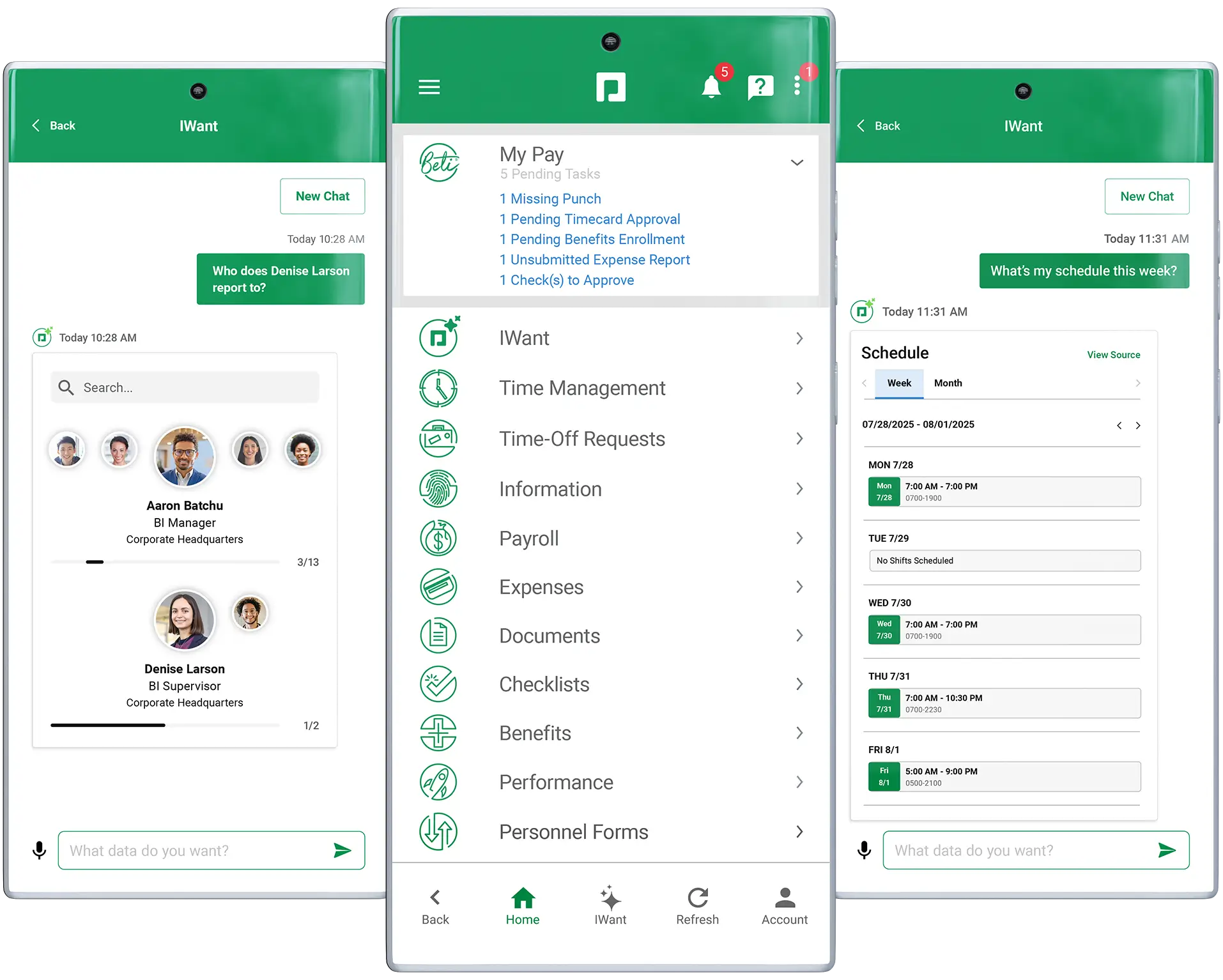 Full-solution automation payroll and HR software