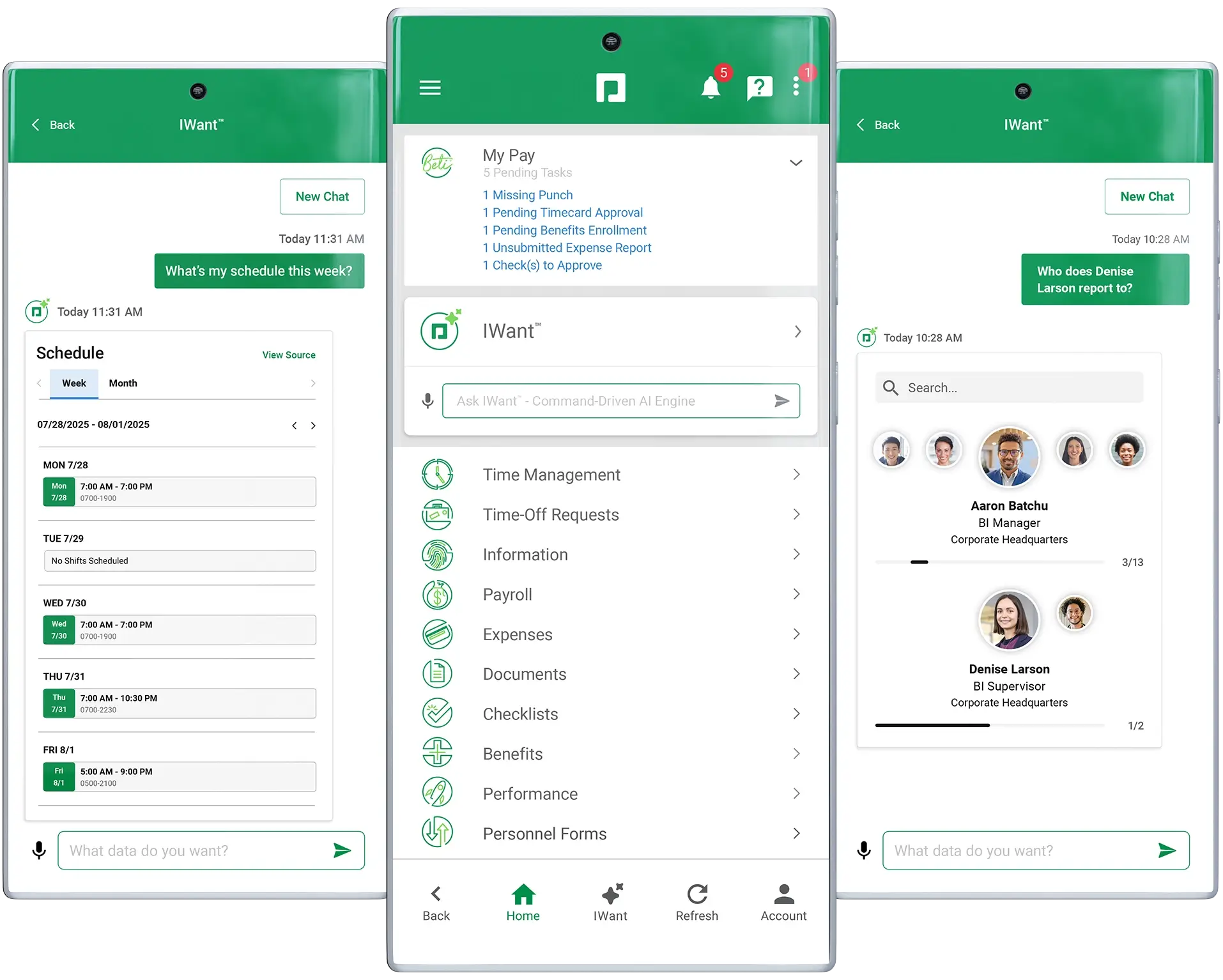 Full-solution automation payroll and HR software